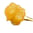 Hemp Concentrates icon