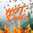 Hot Deals icon