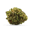Flower icon