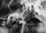 Doobies icon