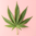 All The Things! icon