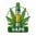 Vapes icon