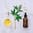 Tincture icon