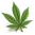 Flower icon