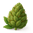 Infused Flower icon
