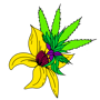Blooming Buds's store logo.