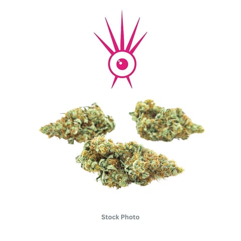 Iconic Bud | Bahama Berry - Bulk