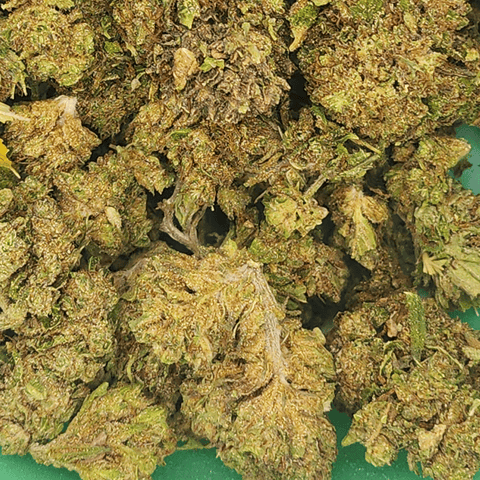 GreenCo | Cereal Milk | Hybrid | 28g | Flower