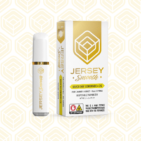 Beach Day Lemonade Disposable (1g)