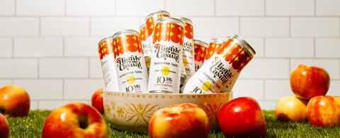 Hang Ten 10mg Single Seltzers - - Honeycrisp Apple