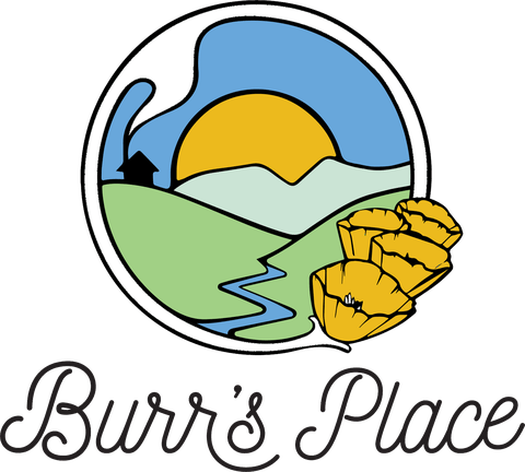 Burr's Place | Mountain Mint (S) | 14g Sungrown Flower