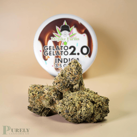 Gelato Gelato 2.0 - 3.5g Flower