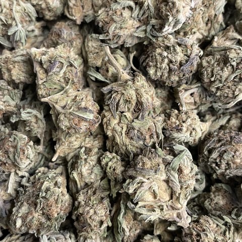 Real Runtz  (Remedy Ranch)
