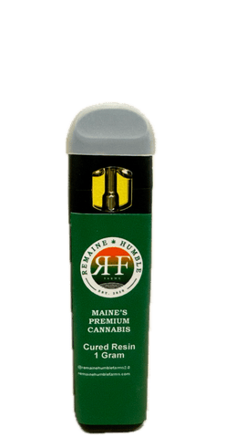 Gary Payton - Cured Resin Disposable