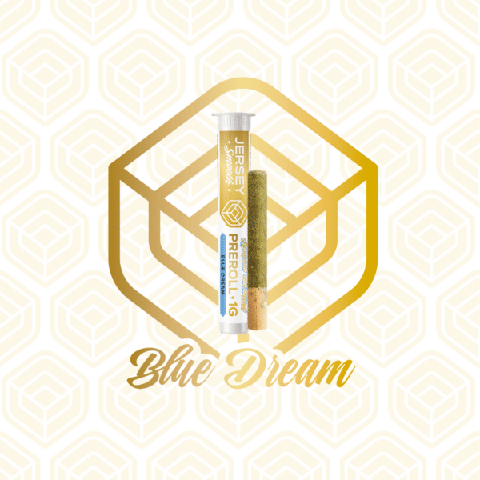 Blue Dream - Kief-Infused Pre-Roll (1g)