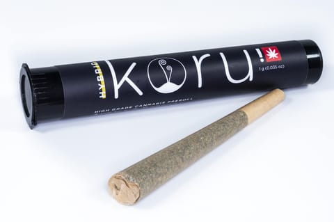 Koru - Gruntzles - 1g Preroll