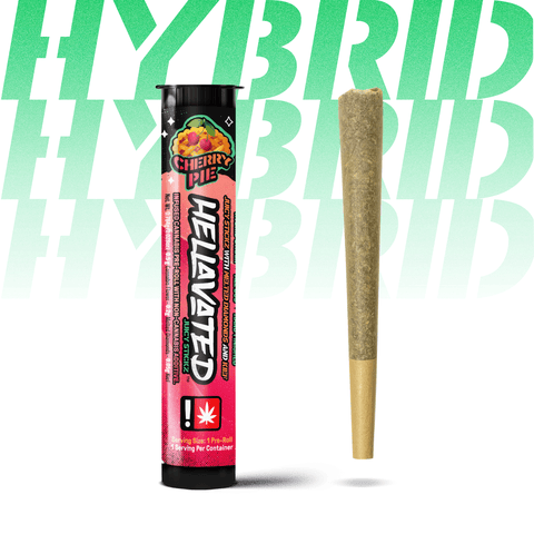 Hellavated | Cherry Pie | 0.75G | Flavored | Infused Preroll