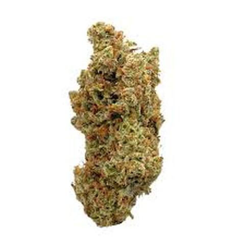Lovelife Haze (Lovelife Farms)