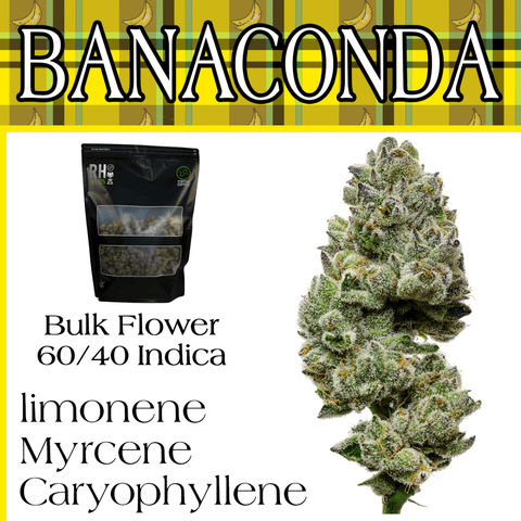 Bananaconda