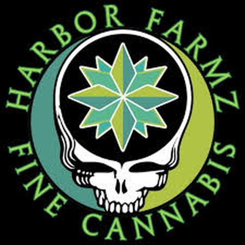 Death Coast- Cured Resin
