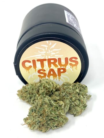 Hazy Hill Farm | Citrus Sap - 3.5g