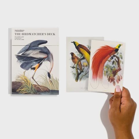 The Birdwatcher's Deck