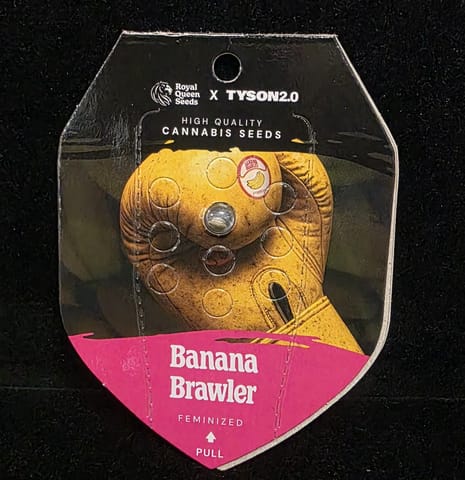 Feminized Seeds - Banana Brawler (Royal Queen x Tyson 2.0) FEM