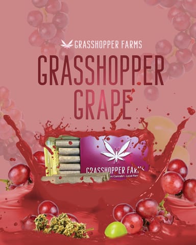 Grasshopper Grape (Infused Pre Roll)