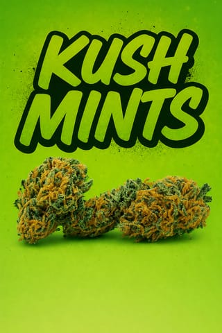 Tier 1 - Kush Mint - - 1g