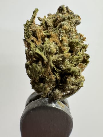 Alien OG Bulk - 25.91% - 14G