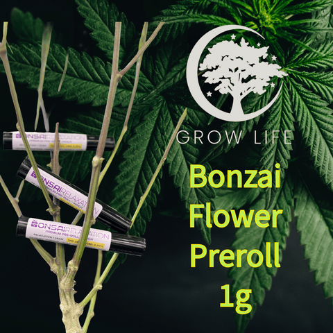 Bonsai Pre-Roll Carbon Fiber Relaxation 1g (REC)