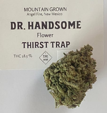 Dr. H | Thirst Trap | Flower | 3.5g