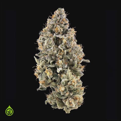 SAFETY MEETING - 3.5G