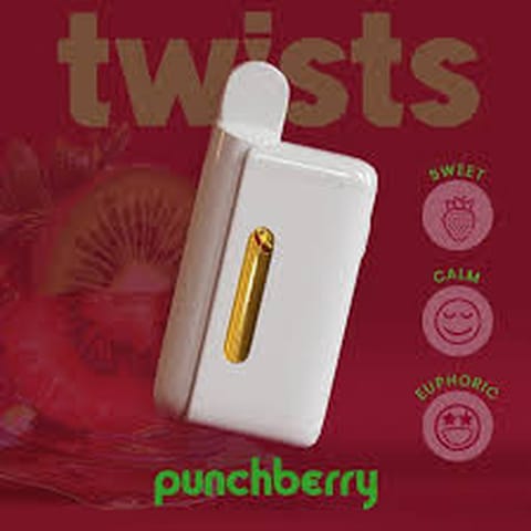 OIL 4G DISPOSABLE (H) PUNCH BERRY FLAVOR 4G