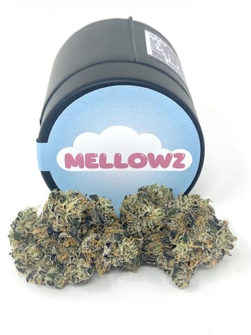 Hazy Hill Farm | Mellowz - 3.5g