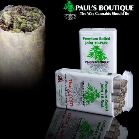 Preroll | 10 Pack | Passion Fruit