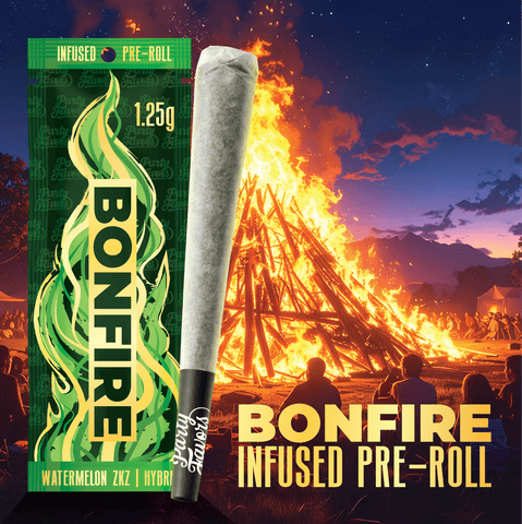 Watermelon ZKZ 1.25g Infused Pre-roll