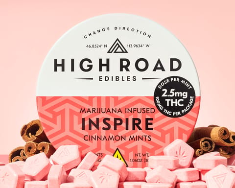 Inspire - Cinnamon Mints - Hybrid - 40 pack