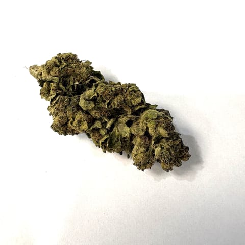 White Truffle (Collie Fields)