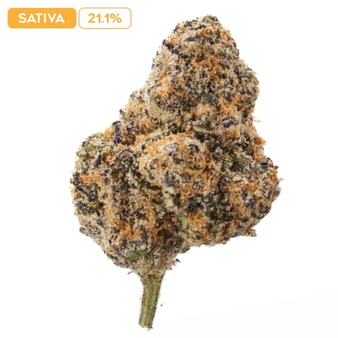 Apple Fritter