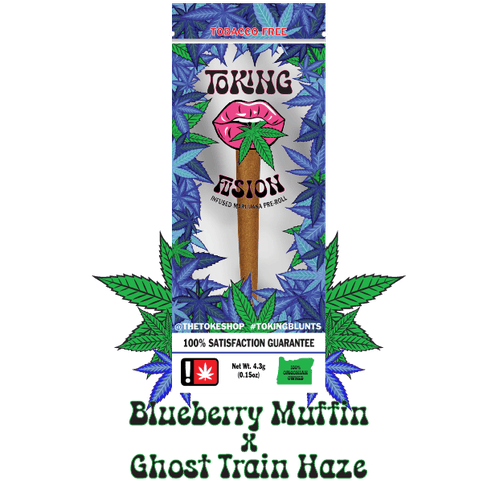 FUSION | BLUEBERRY MUFFIN X GHOST TRAIN HAZE | HYBRID | 1 GRAM