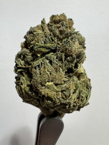 Acapulco Gold Bulk - 32.1% - 1G