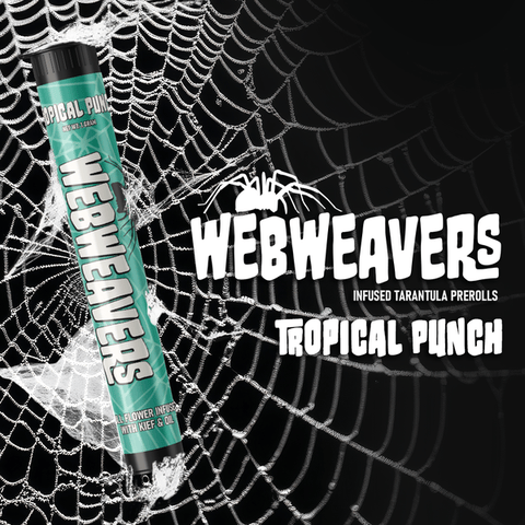 Webweavers Tarantula 1g Infused Preroll | Tropical Punch