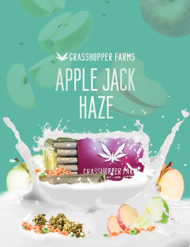 Apple Jacks Haze (Infused Pre-Roll)