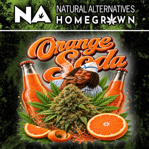 NA Orange Soda