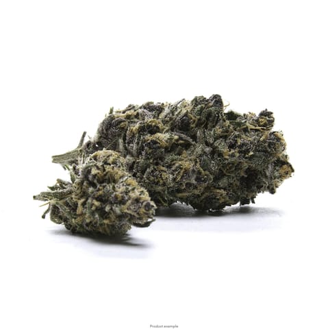 West Coast Treez - Electric Lemonaid Sativa 3.5g - Classics