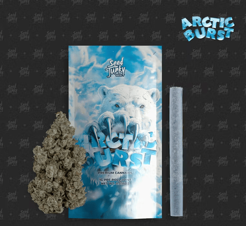 Seed Junky | Artctic Burst (H) | 1g Joint