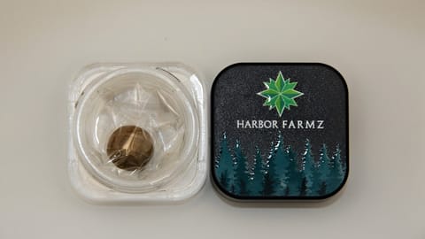Harbor Farmz | Concentrate | Red Runtz x Sub-Zero 1g Temple Ball