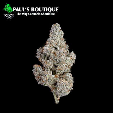 1/8oz | Kandy Rain