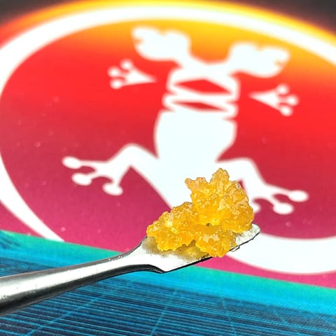 Axolotl Sugar Wax Hybrid Mac 'N Cheese 1g